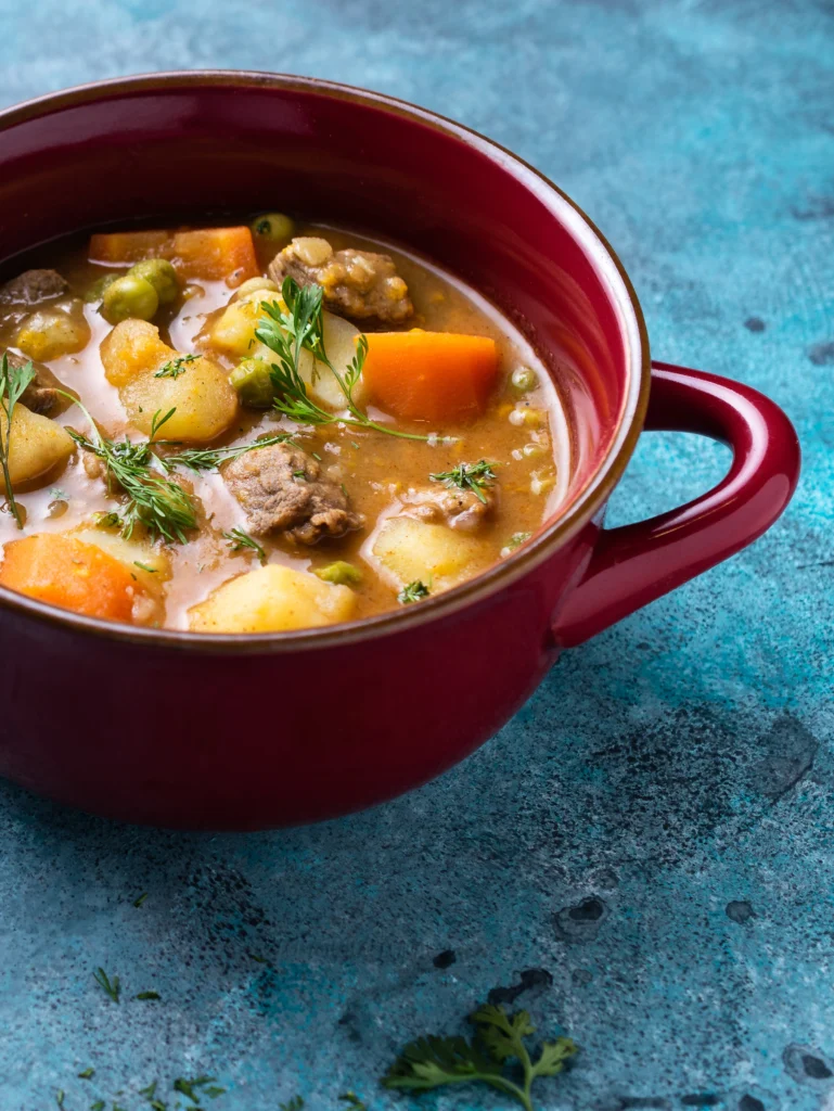 vegetable soup with ground beef